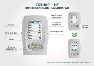 СКЭНАР-1-НТ (исполнение 01)  в Кубинке купить Медицинский интернет магазин - denaskardio.ru 